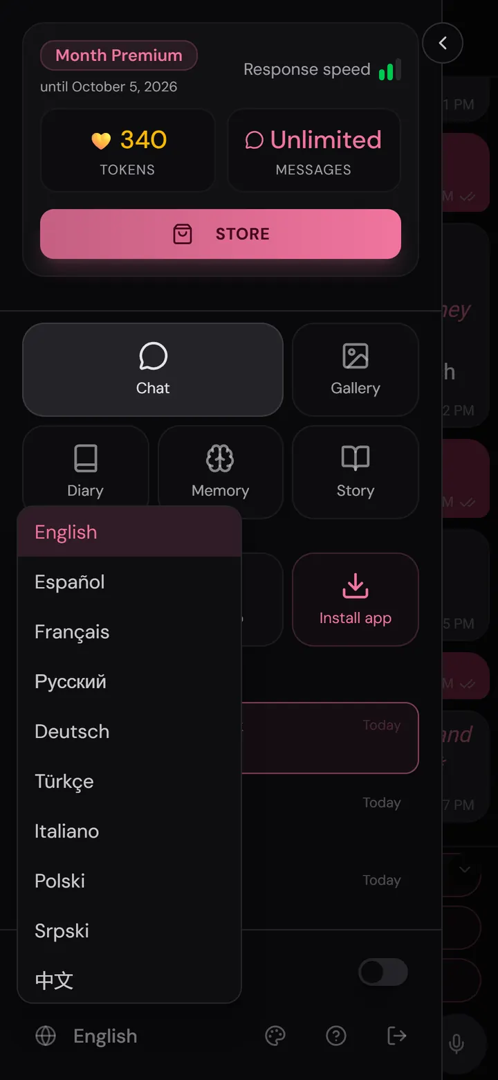 Application Nika : sélecteur de langue de l'interface avec 15 langues